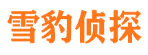 湘潭调查事务所